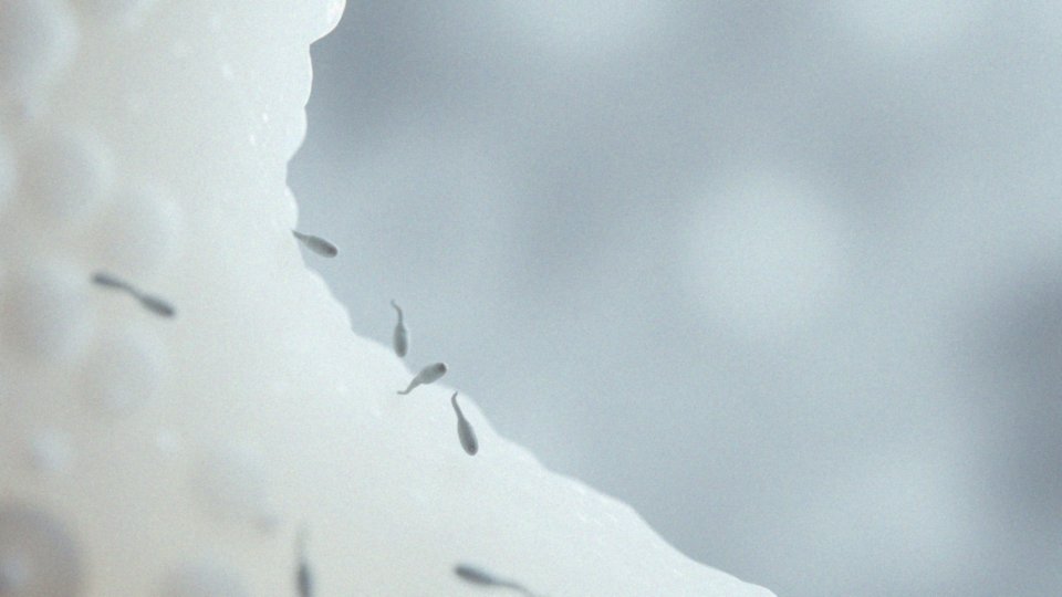 Co to jest niepłodne dni i jak wpływają na plemniki?