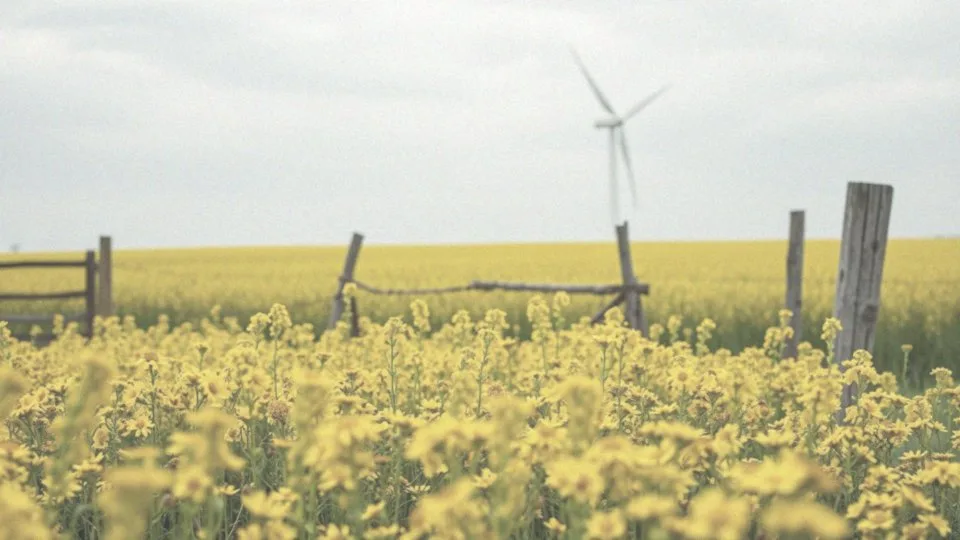 Agenda 2030 – prawda o celach zrównoważonego rozwoju