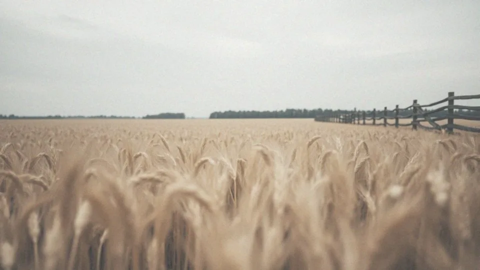 Agenda 2030 – prawdziwe cele zrównoważonego rozwoju