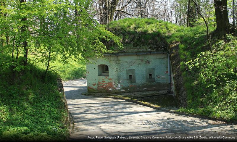 Fort pancerny pomocniczy 50 ½ WEST „Kosocice”