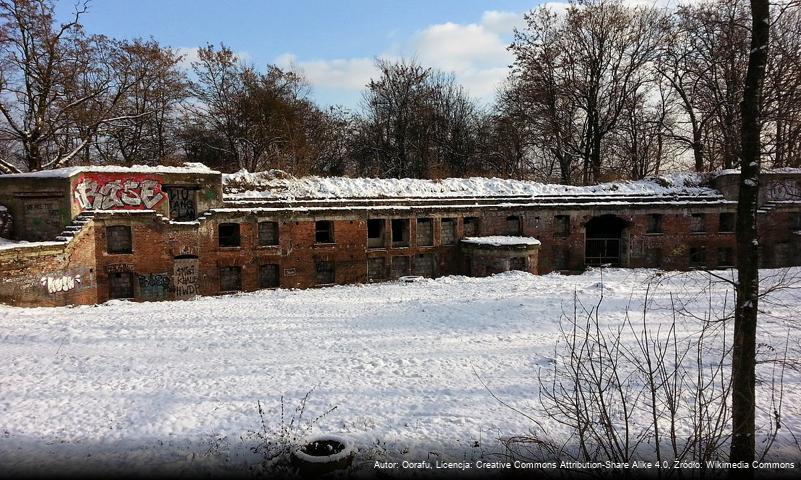 Fort pomocniczy piechoty 50a „Lasówka”