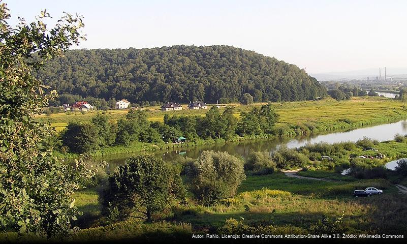 Grodzisko (Tyniec)