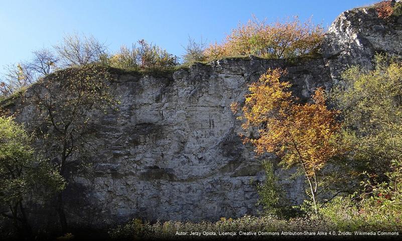 Niski Mur (Zakrzówek)