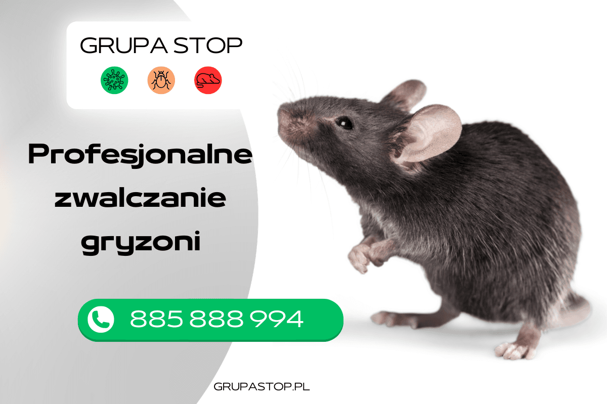 zwalczanie gryzoni Grupa Stop