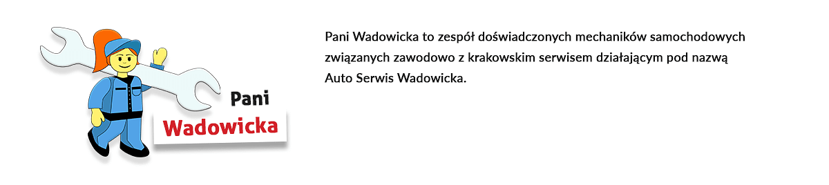 paniwadowickadoartykulow.png