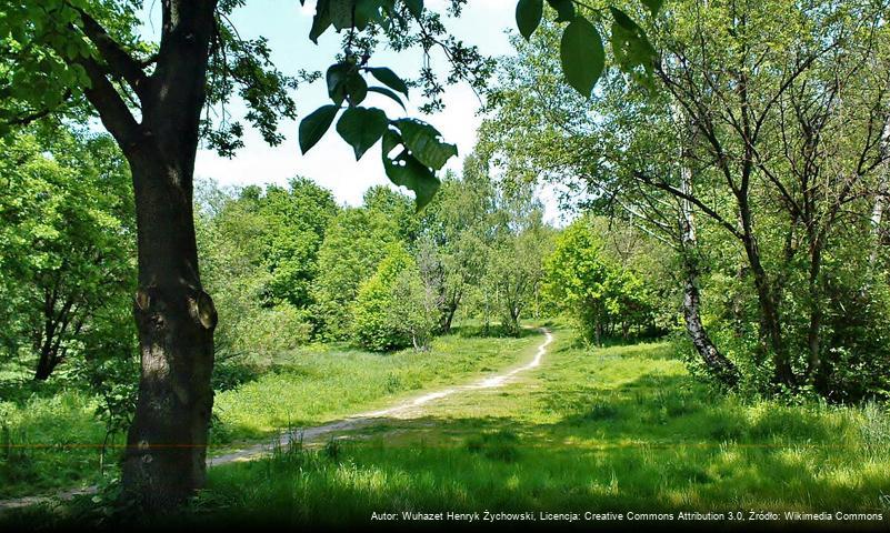 Park Aleksandry w Krakowie