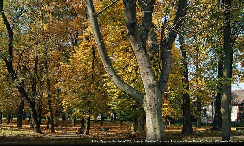 Park przy ulicy Klasztornej w Krakowie