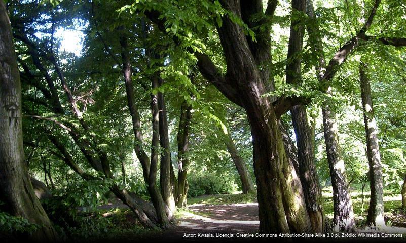 Park w Łuczanowicach