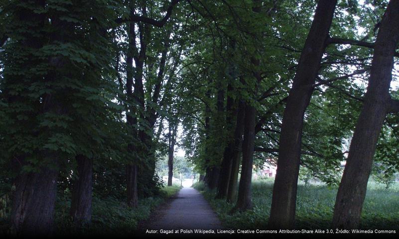 Park w Swoszowicach