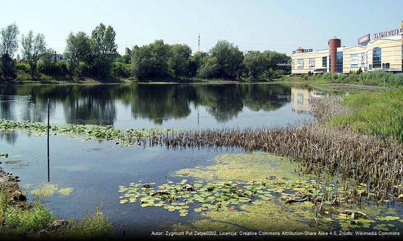 Staw Dąbski