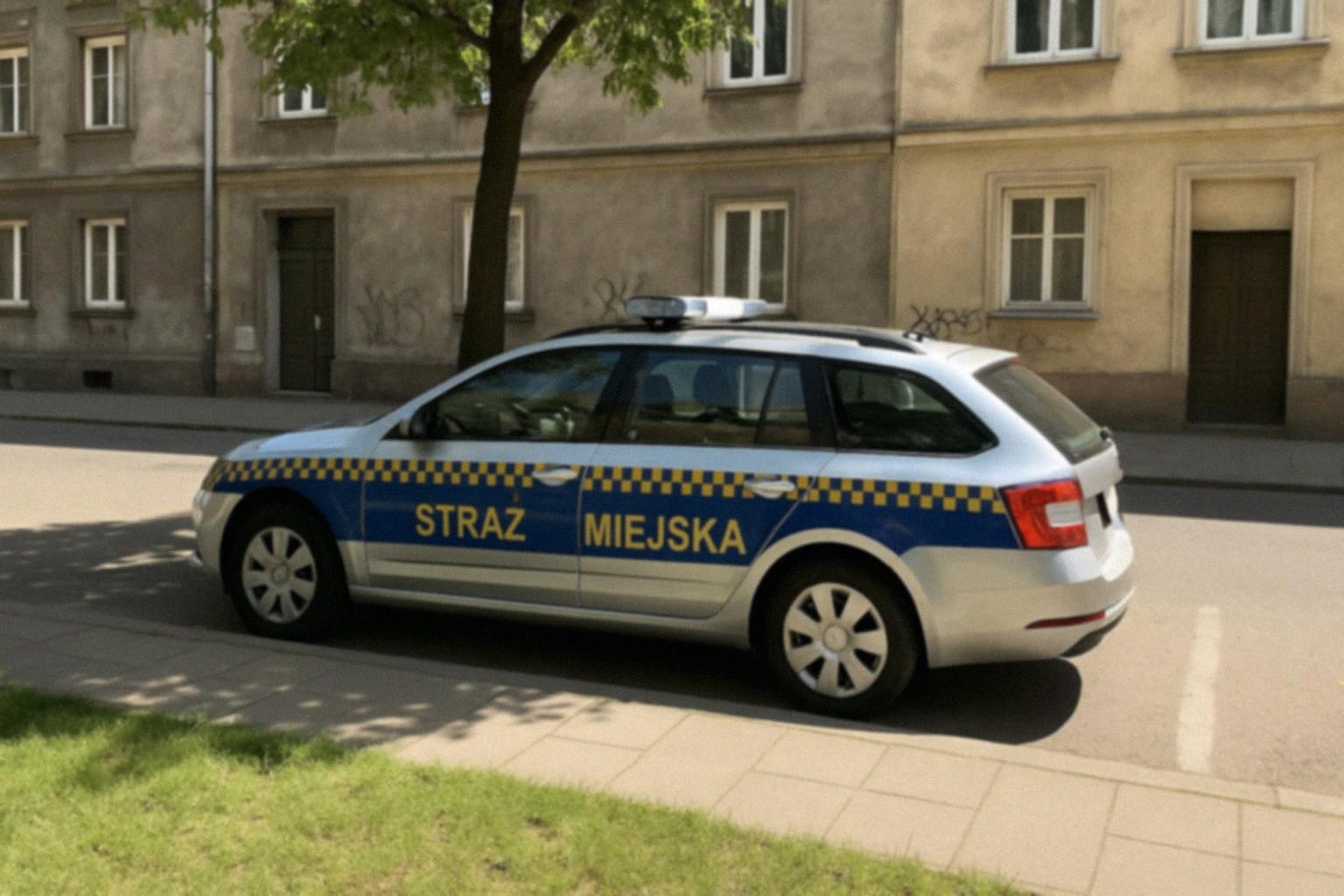 Szkolenie służb o bezpieczeństwie na lodzie w Krakowie