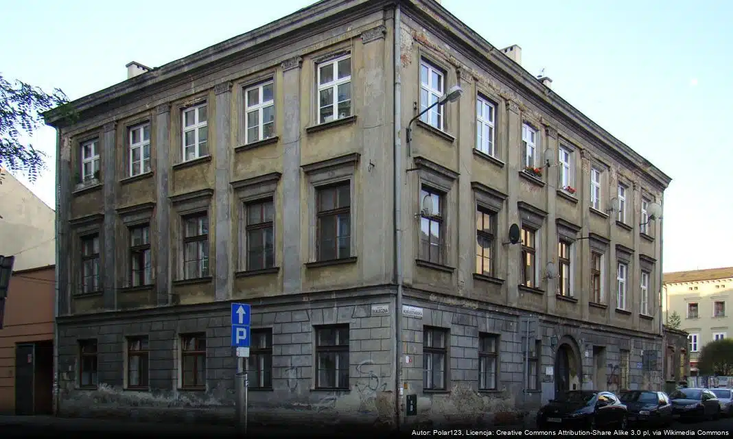 Ponad 2000 zwierząt z krakowskiego schroniska znalazło nowe domy w 2024 roku