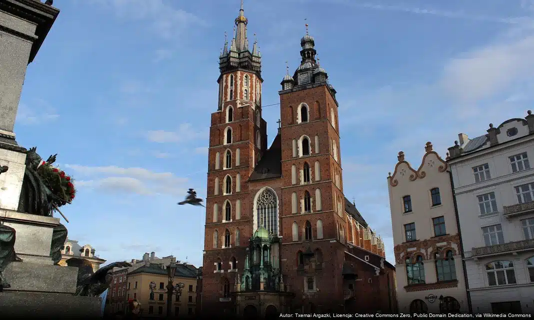 Nasadzenia drzew na ul. Zwierzynieckiej i ul. Kościuszki w Krakowie