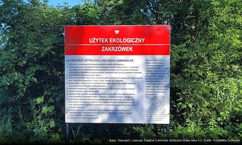 Zakrzówek (użytek ekologiczny)