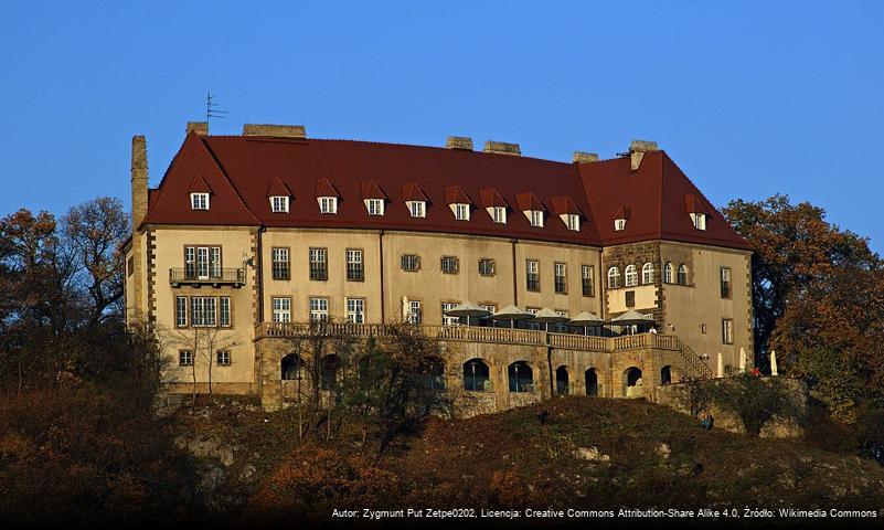 Zamek w Przegorzałach